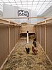 Sarah Lucas, NOB, +Gelatin: Installationsansicht, Secession, 2013; Courtesy Sadie Coles HQ, London und Courtesy Galerie Meyer Kainer, Wien; Foto: Wolfgang Thaler.