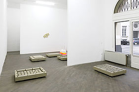 Plamen Dejanoff, installation view, Galerie Emanuel Layr, 2012.